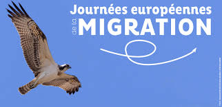 Journées Européennes de la Migration