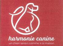 Harmonie canine à Cenves